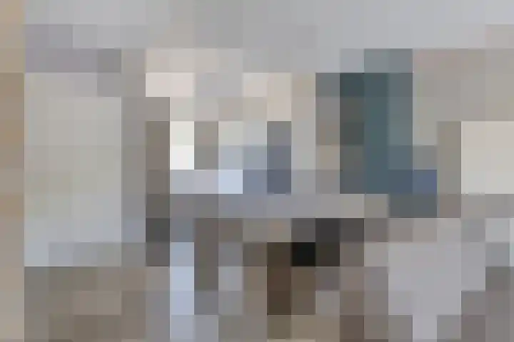 Anjelier 11 Krimpen aan den IJssel thumbnail 7
