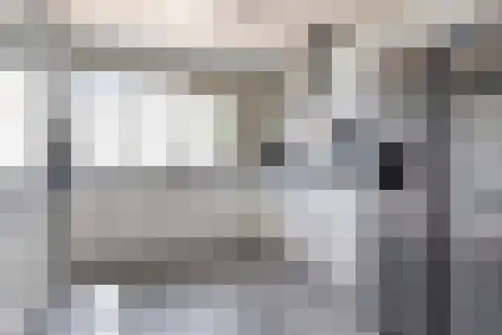 Anjelier 11 Krimpen aan den IJssel thumbnail 9