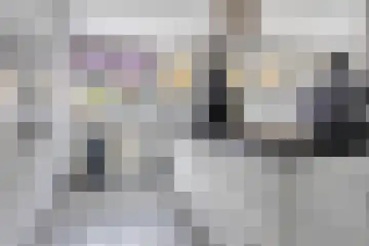 Anjelier 16 Borne thumbnail 11