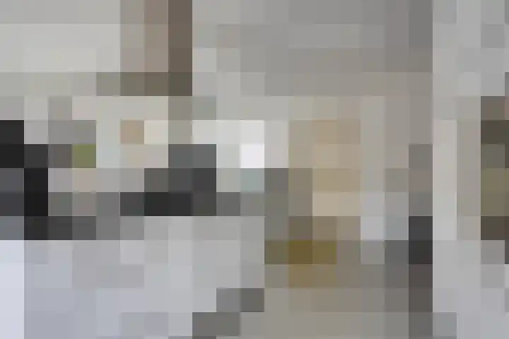 Anjelier 16 Borne thumbnail 12