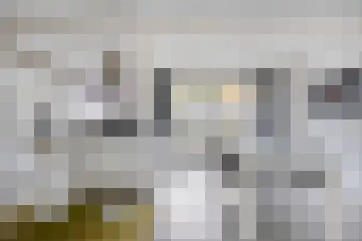 Anjelier 16 Borne thumbnail 15