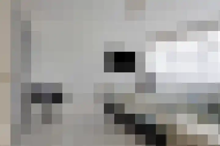 Anjelier 16 Borne thumbnail 17