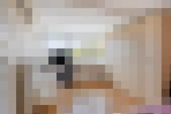 Anjelier 16 Borne thumbnail 26