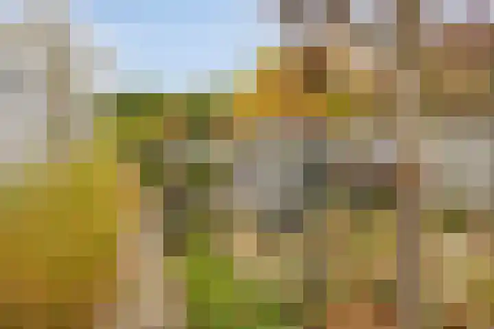 Anjelier 16 Borne thumbnail 27