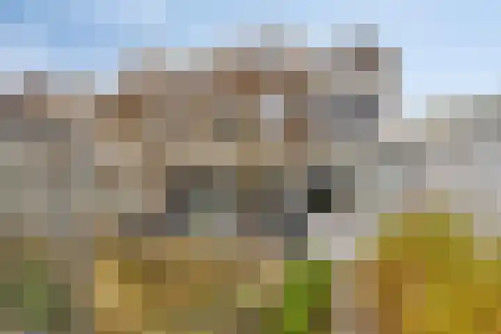 Anjelier 16 Borne thumbnail 28