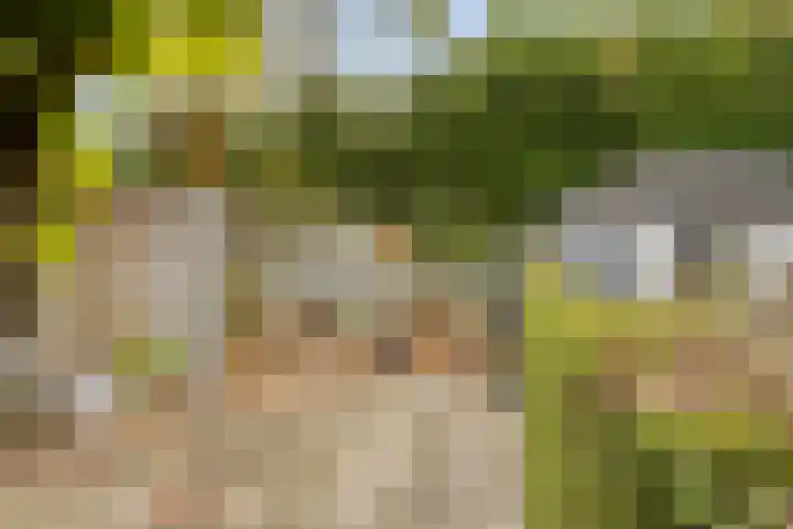 Anjelier 16 Borne thumbnail 29