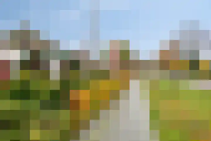 Anjelier 16 Borne thumbnail 33