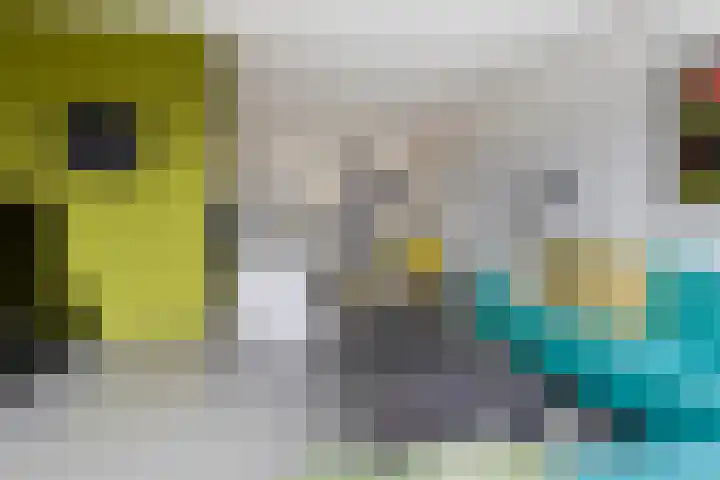 Anjelier 16 Borne thumbnail 5