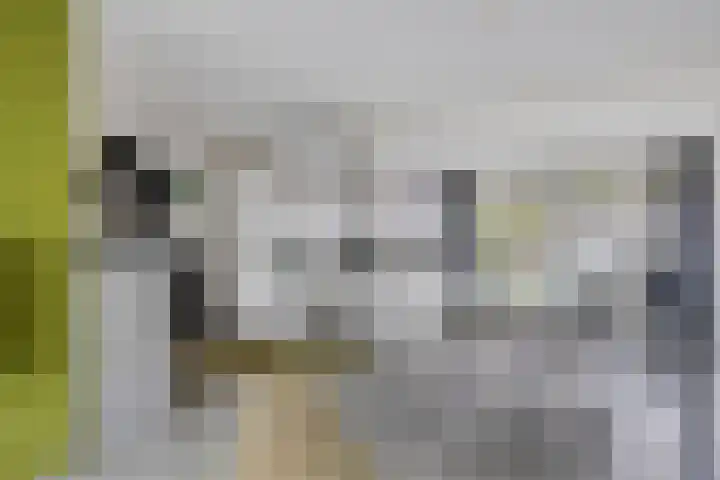 Anjelier 16 Borne thumbnail 7