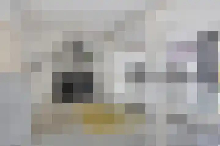 Anjelier 16 Borne thumbnail 8