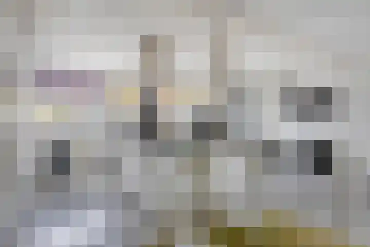 Anjelier 16 Borne thumbnail 9