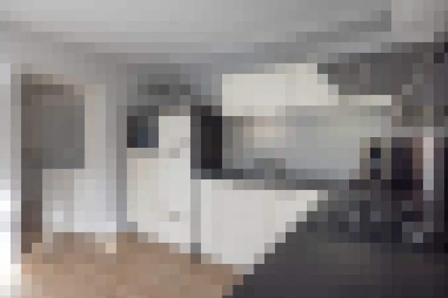 Anjelier 23 Borne thumbnail 12