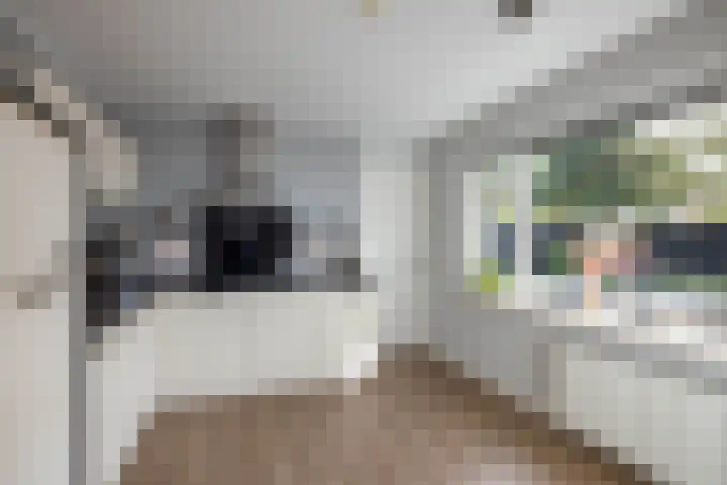 Anjelier 23 Borne thumbnail 13