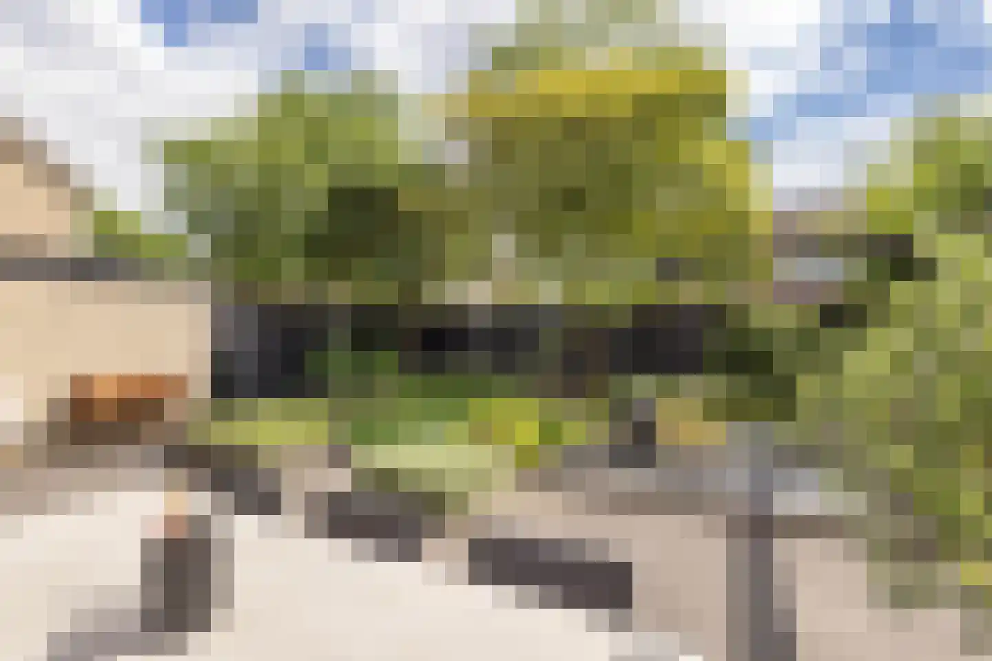 Anjelier 23 Borne thumbnail 37