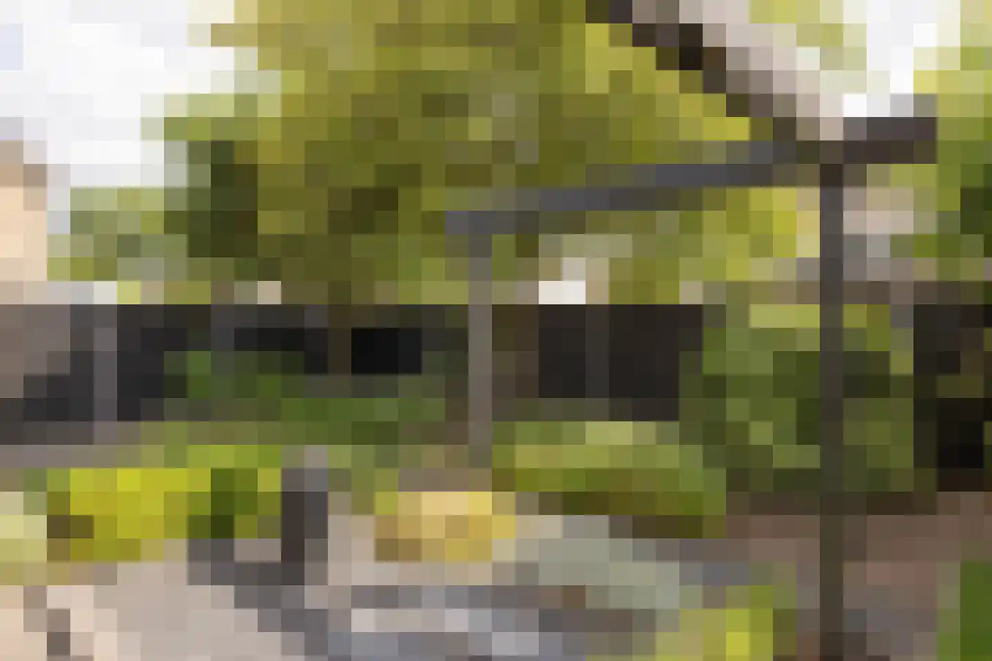 Anjelier 23 Borne thumbnail 38