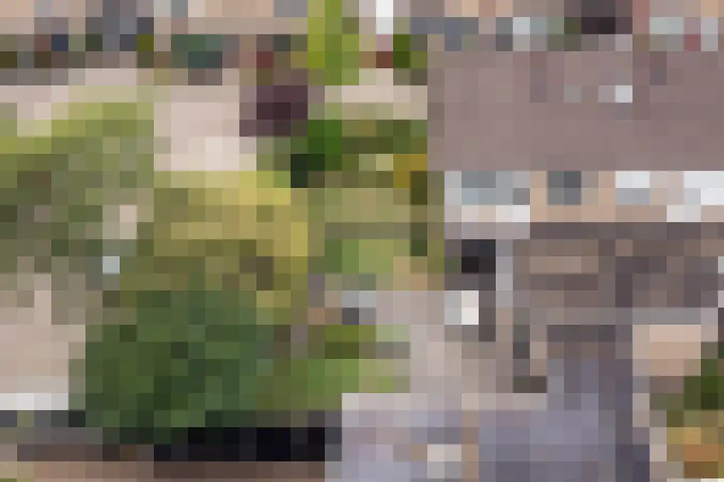 Anjelier 23 Borne thumbnail 42
