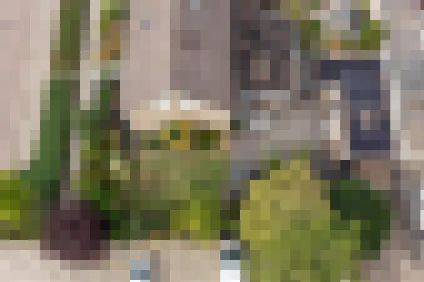Anjelier 23 Borne thumbnail 43
