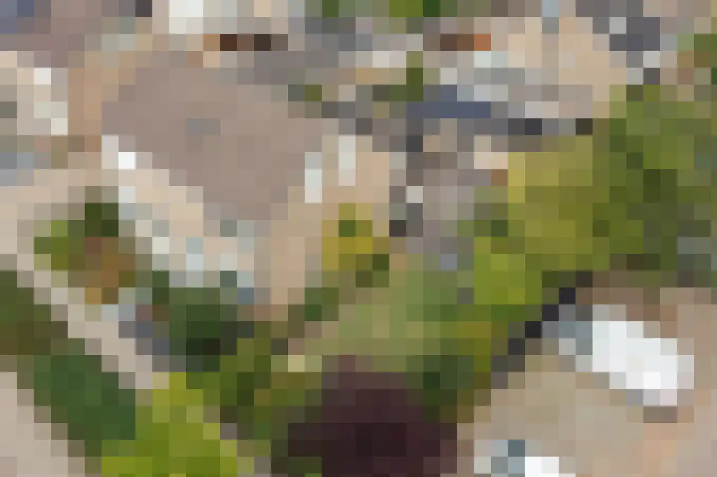Anjelier 23 Borne thumbnail 44
