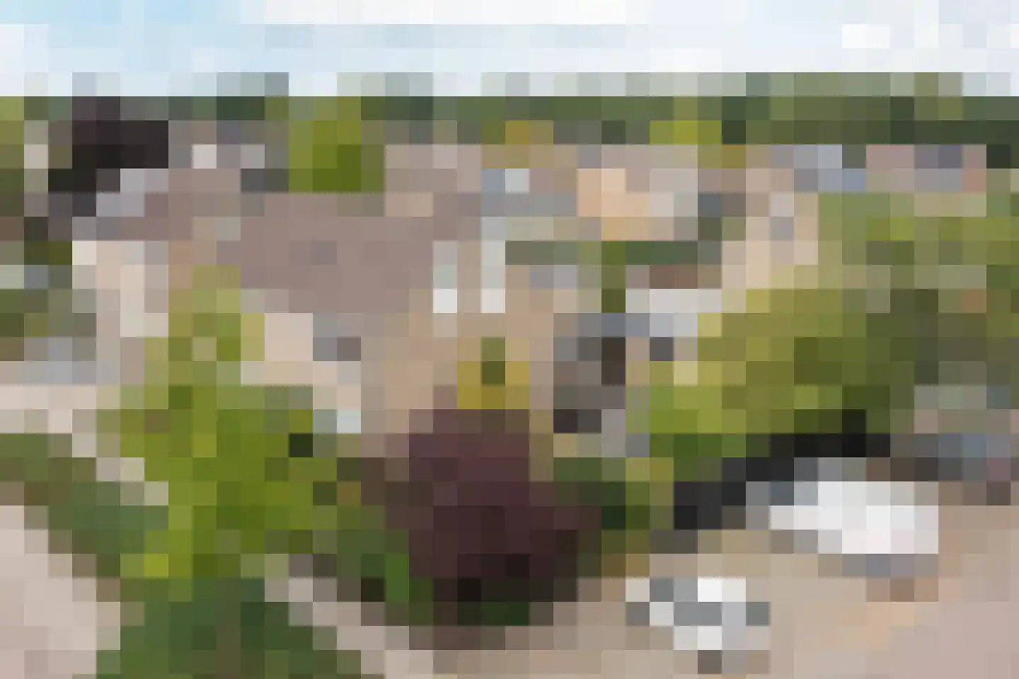 Anjelier 23 Borne thumbnail 46