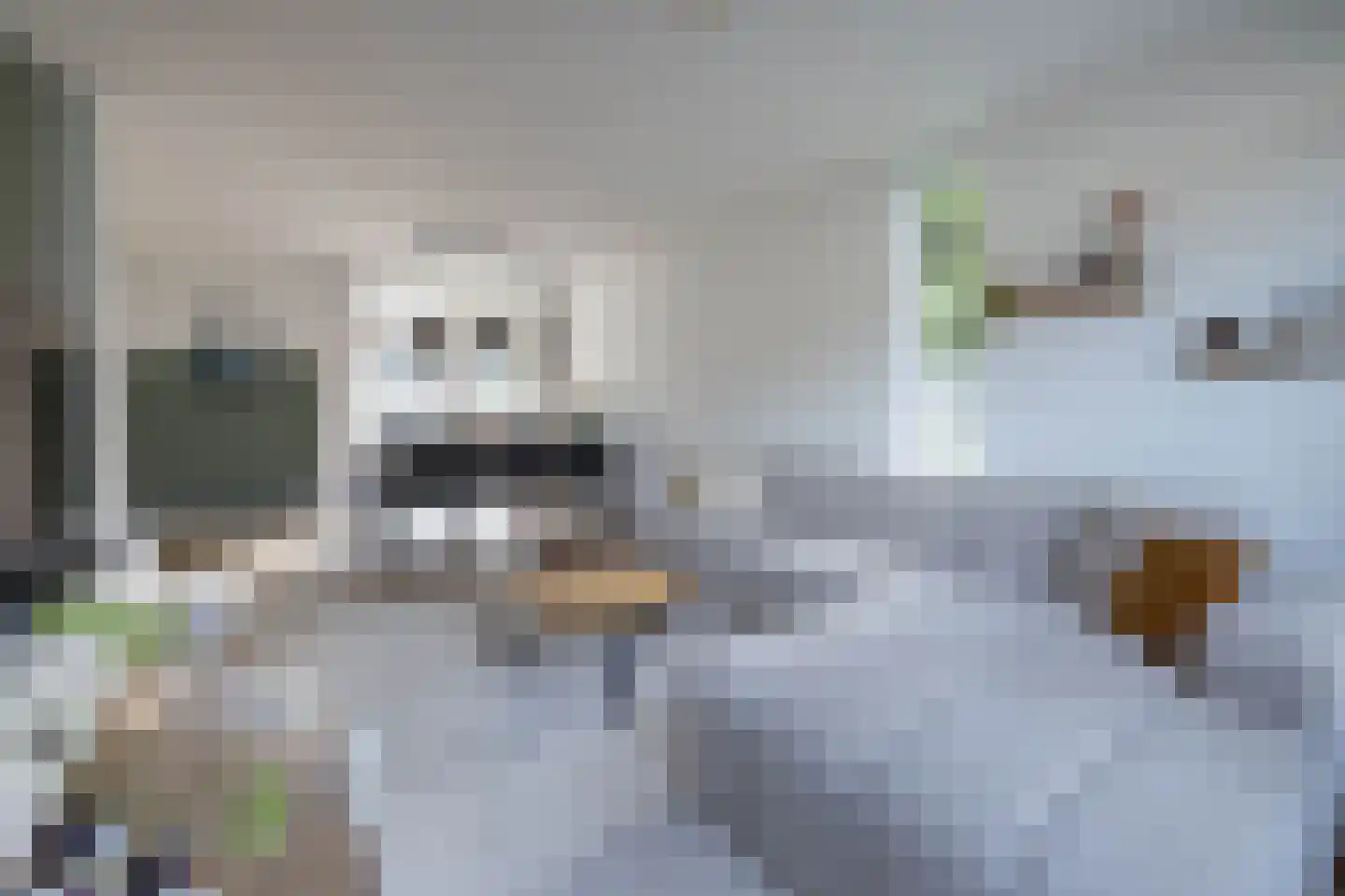 Anjelier 23 Borne thumbnail 8