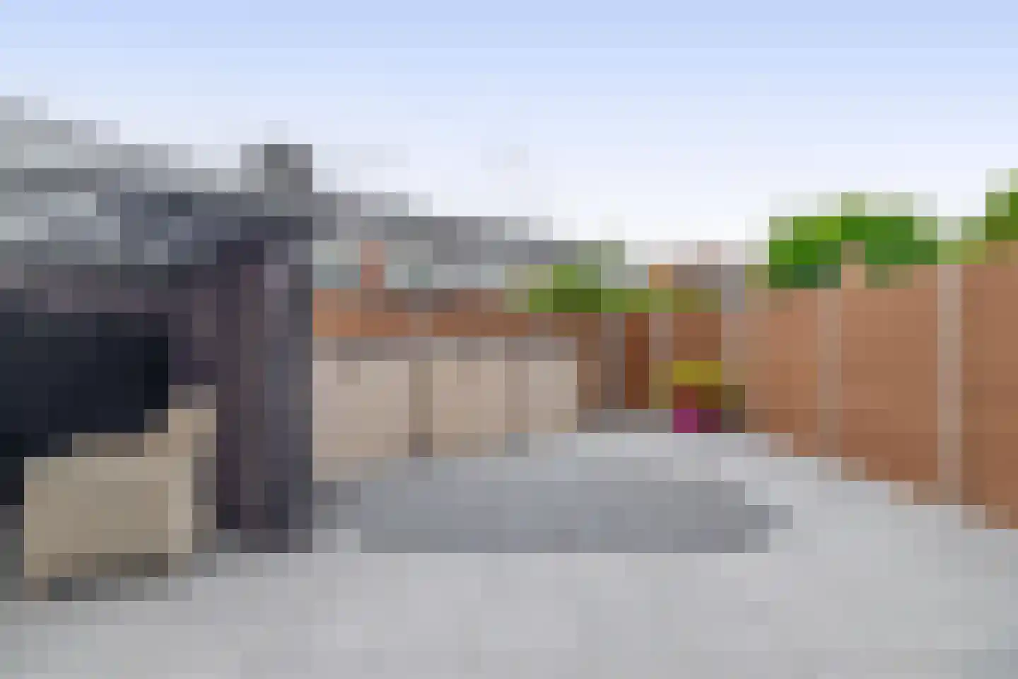 Anjelier 27 Krimpen aan den IJssel thumbnail 13