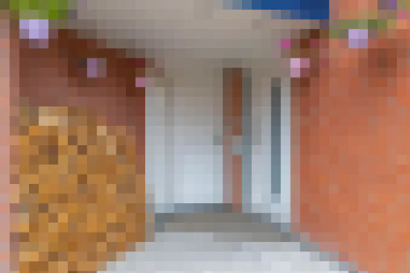 Anjelier 27 Krimpen aan den IJssel thumbnail 17