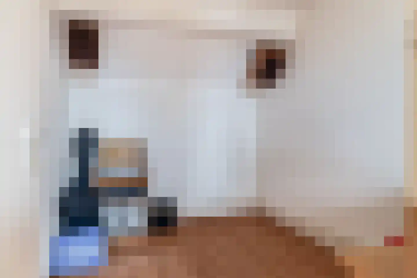 Anjelier 27 Krimpen aan den IJssel thumbnail 44
