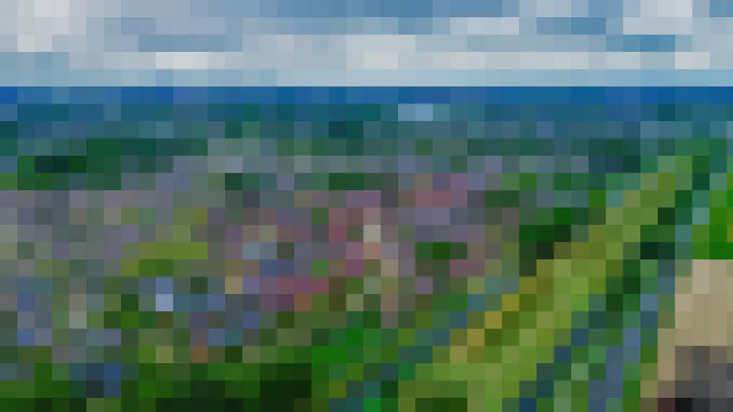 Anjelier 27 Krimpen aan den IJssel thumbnail 68