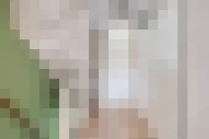 Anjelier 3 Krimpen aan den IJssel thumbnail 10