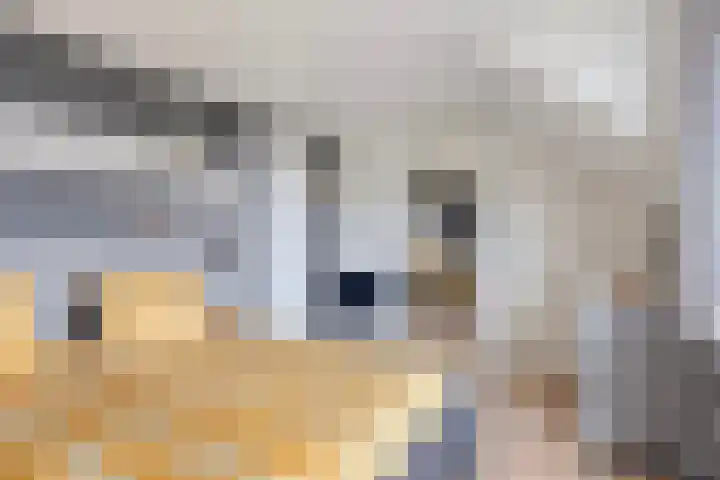Anjelier 3 Krimpen aan den IJssel thumbnail 12