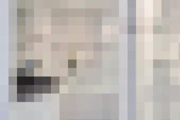 Anjelier 3 Krimpen aan den IJssel thumbnail 13