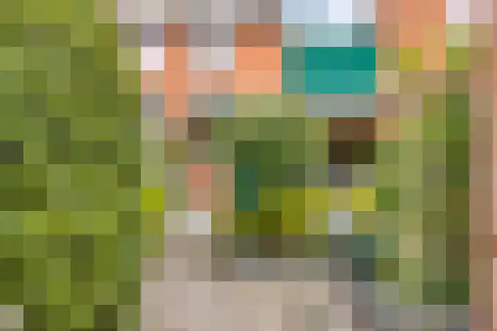 Anjelier 3 Krimpen aan den IJssel thumbnail 21