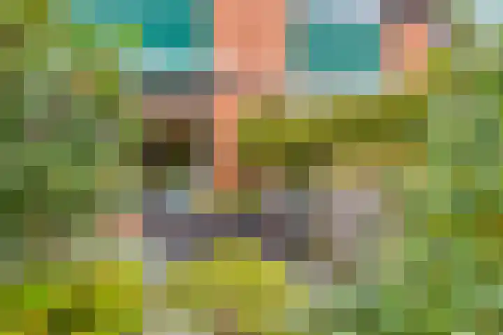 Anjelier 3 Krimpen aan den IJssel thumbnail 22