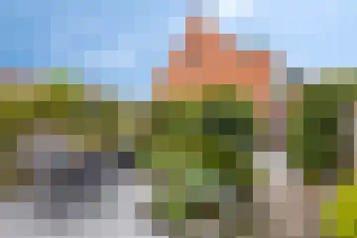 Anjelier 3 Krimpen aan den IJssel thumbnail 23