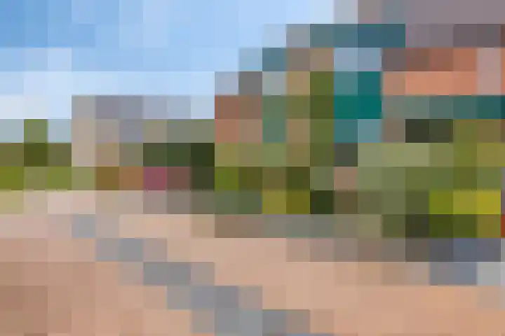 Anjelier 3 Krimpen aan den IJssel thumbnail 24