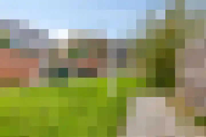 Anjelier 3 Krimpen aan den IJssel thumbnail 26