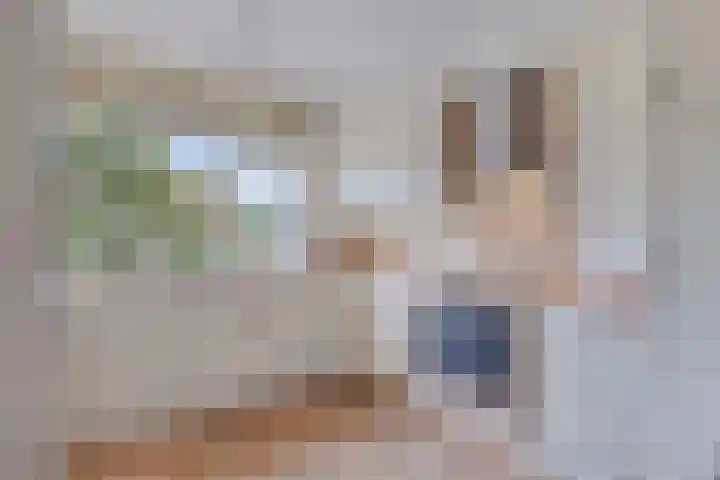 Anjelier 3 Krimpen aan den IJssel thumbnail 6
