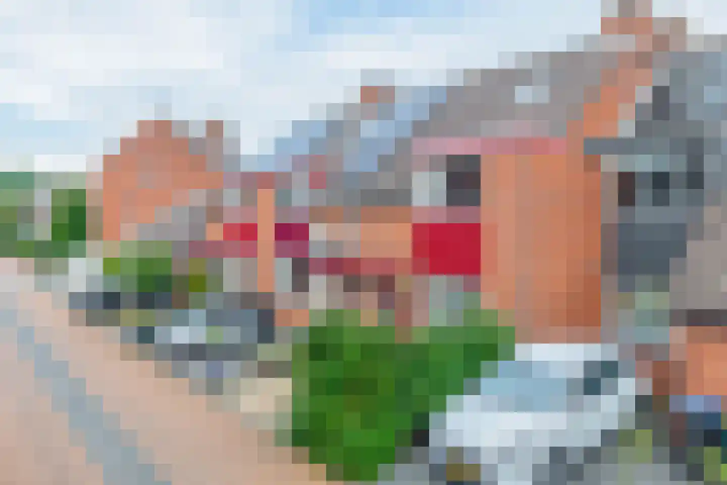 Anjelier 36 Krimpen aan den IJssel thumbnail 15