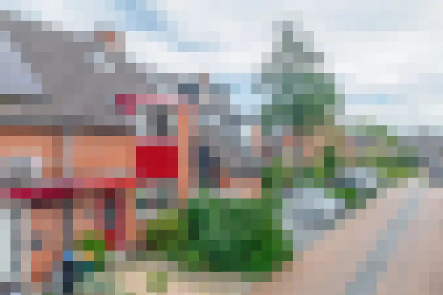 Anjelier 36 Krimpen aan den IJssel foto 2