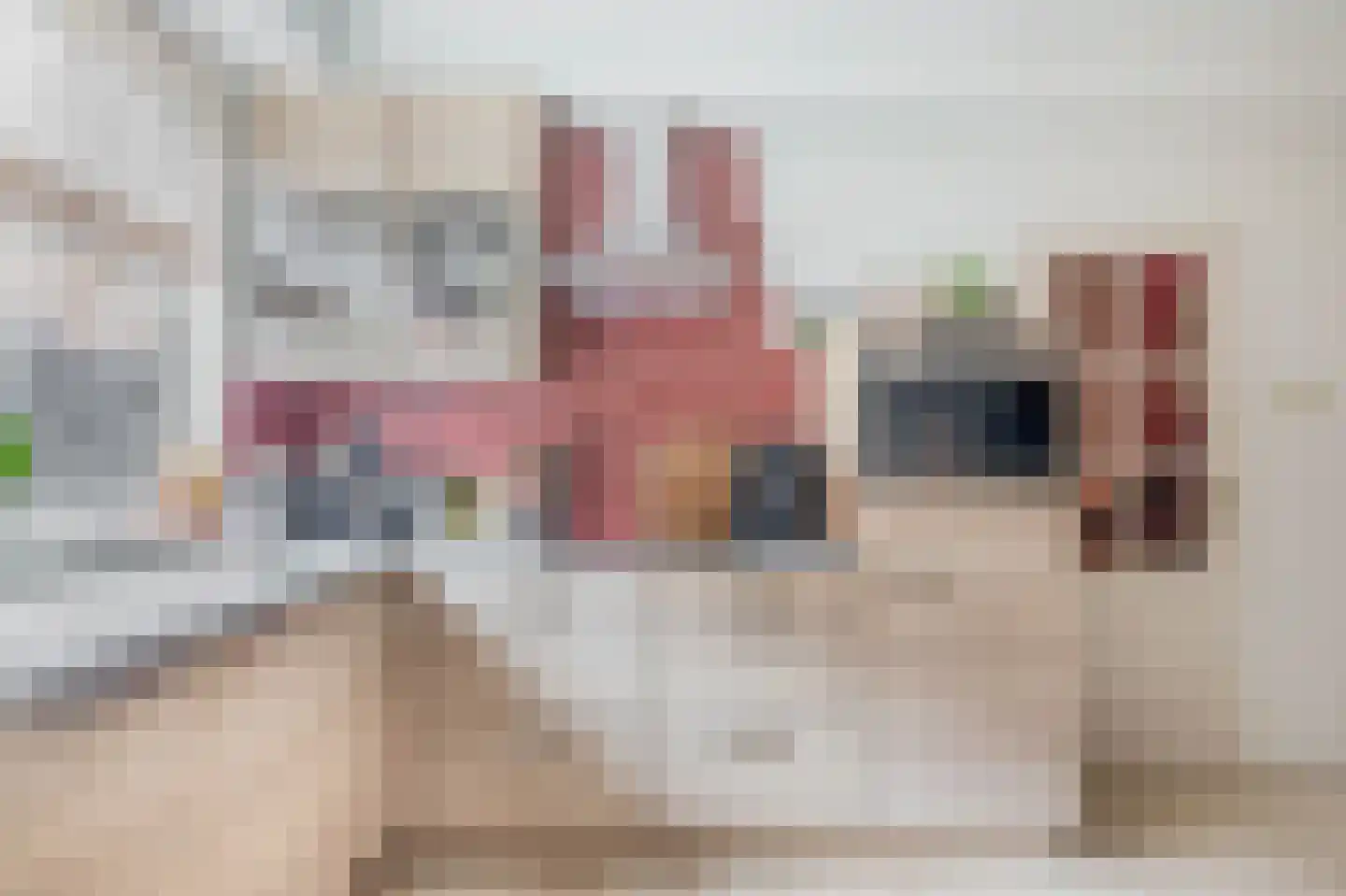Anjelier 36 Krimpen aan den IJssel thumbnail 28