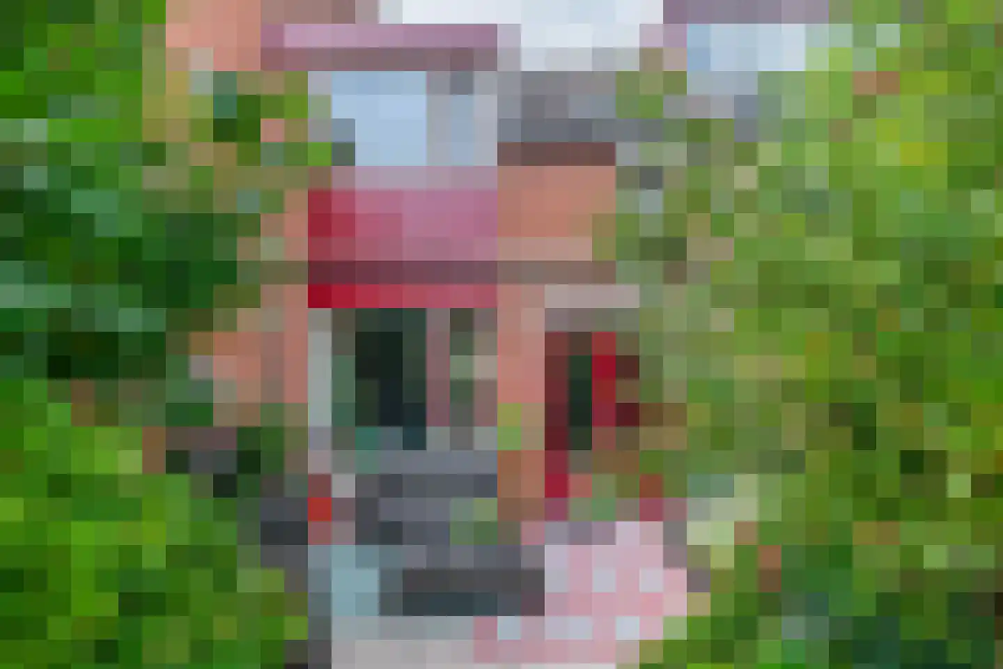 Anjelier 36 Krimpen aan den IJssel foto 3