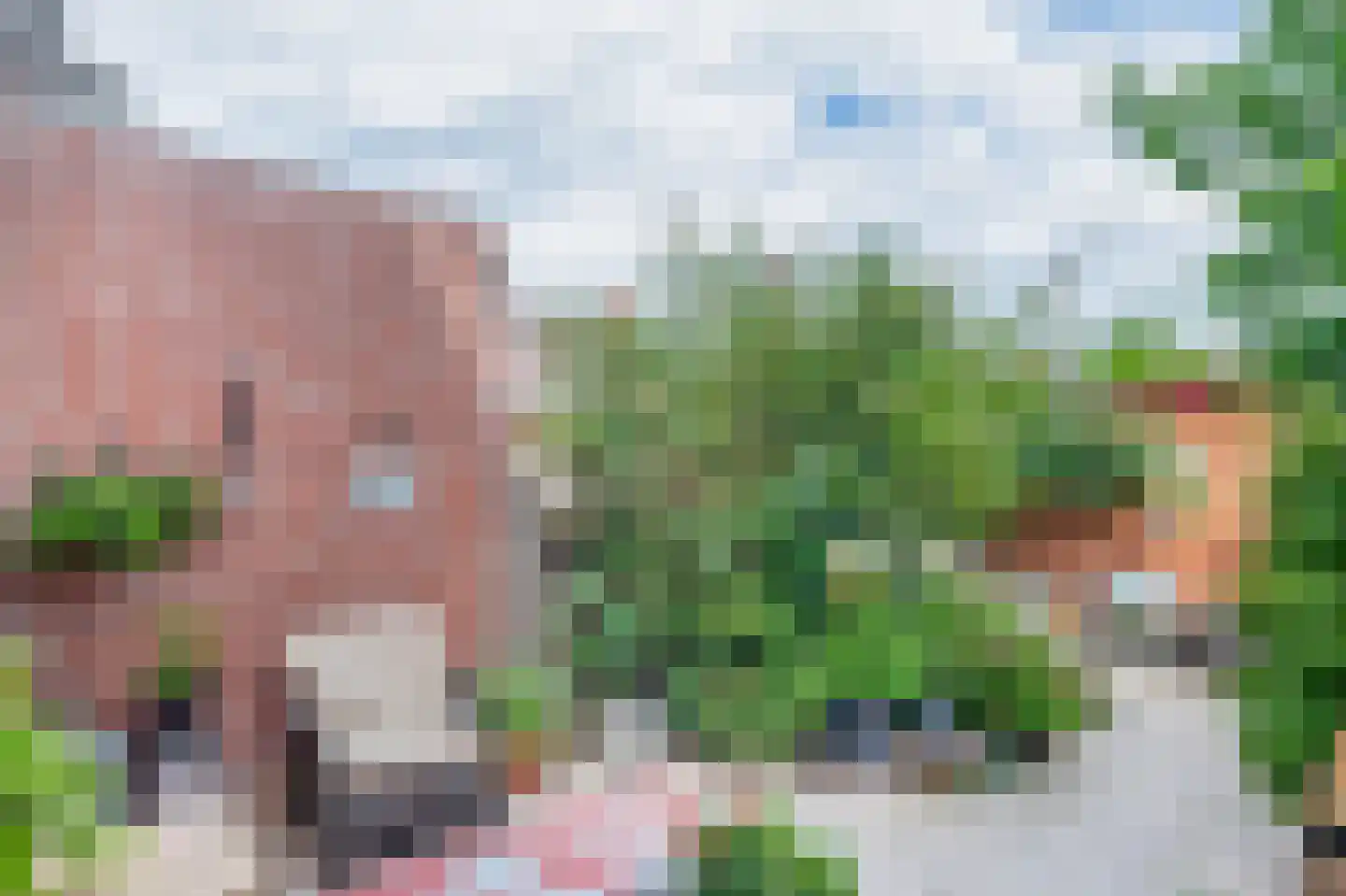 Anjelier 36 Krimpen aan den IJssel thumbnail 4
