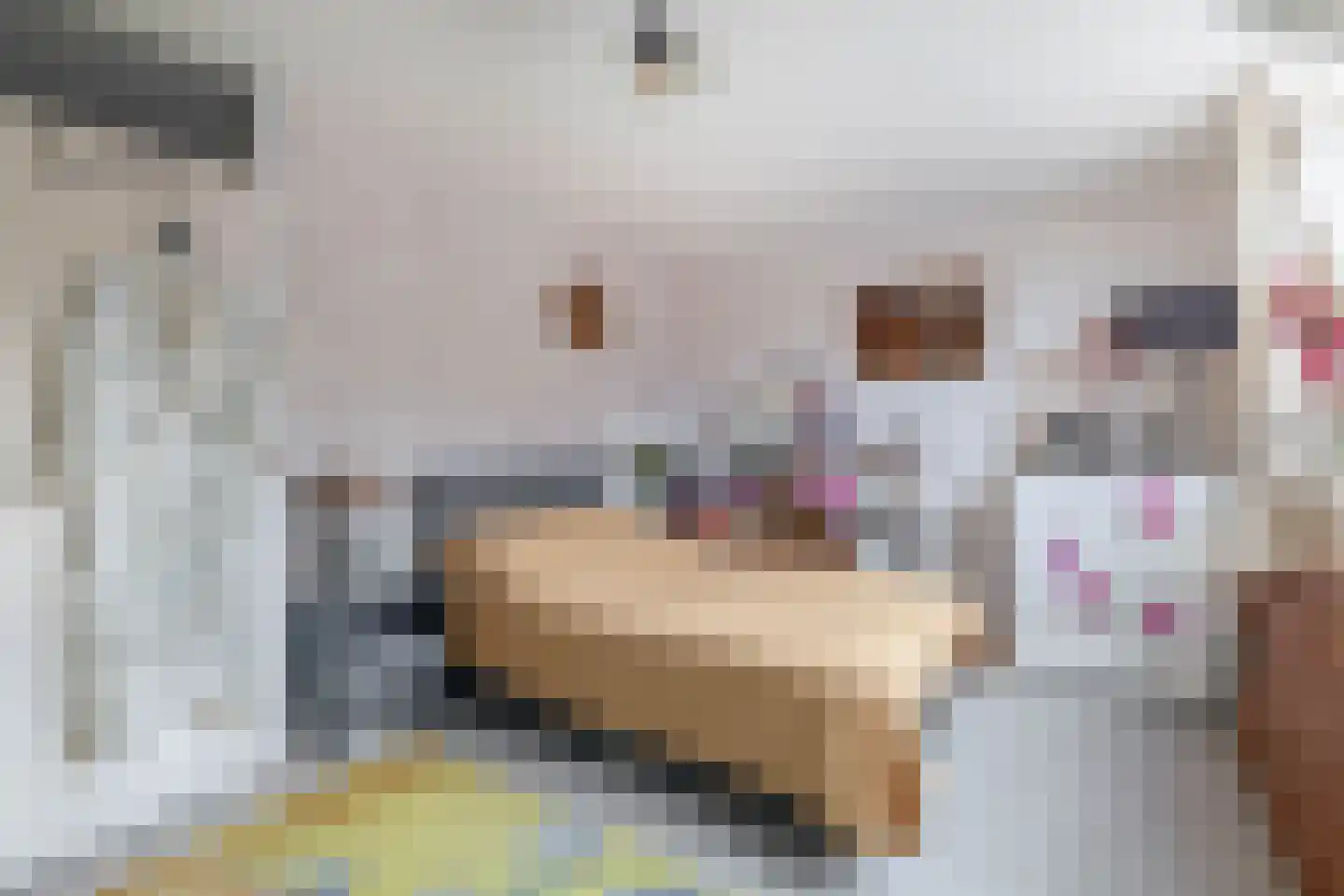 Anjelier 36 Krimpen aan den IJssel thumbnail 9
