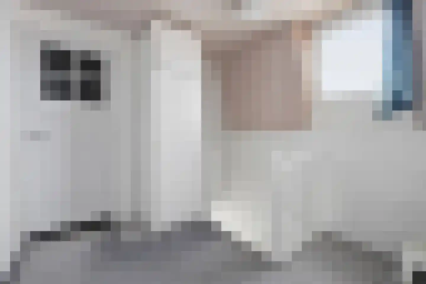 Anjelierenlaan 19 Vlissingen thumbnail 12