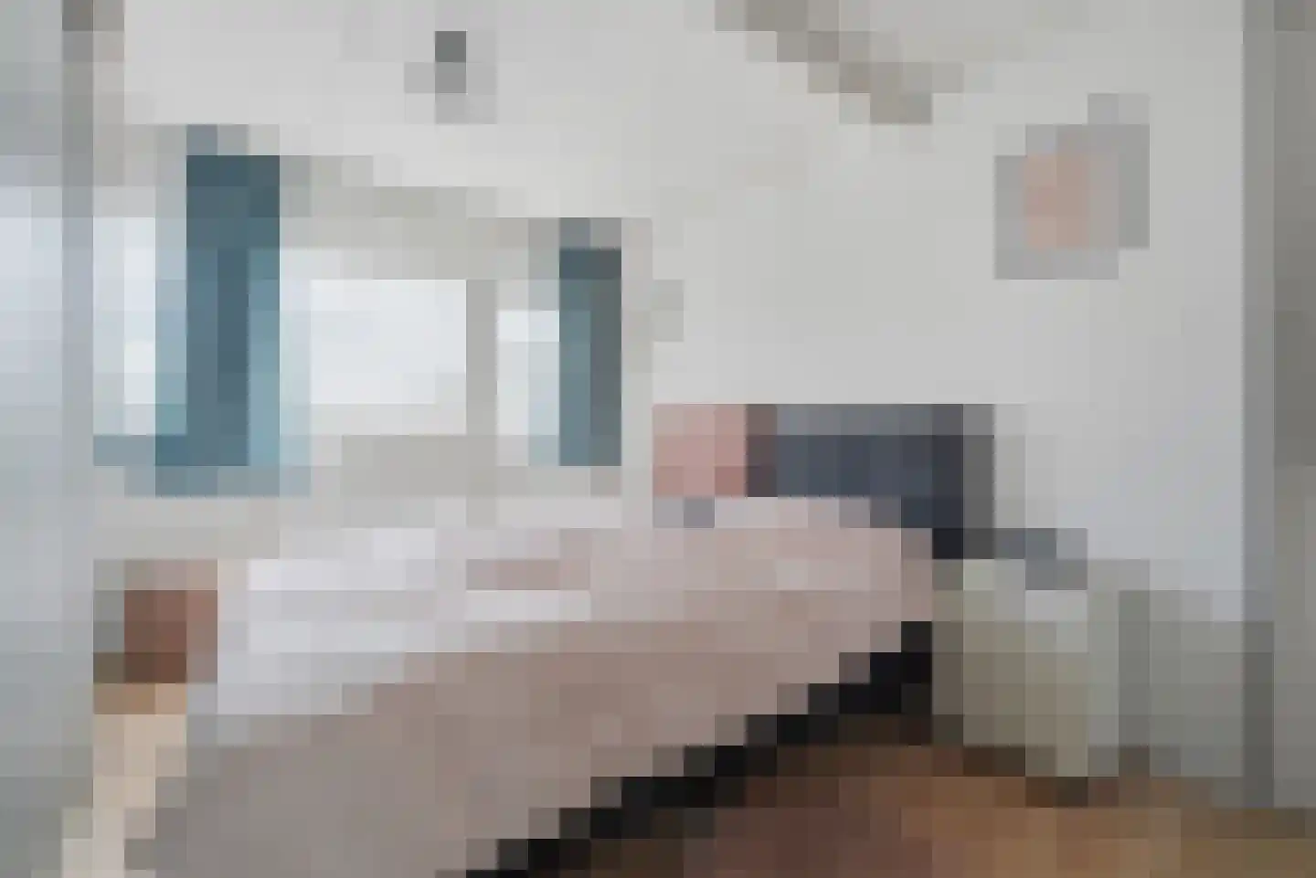 Anjelierenlaan 19 Vlissingen thumbnail 13