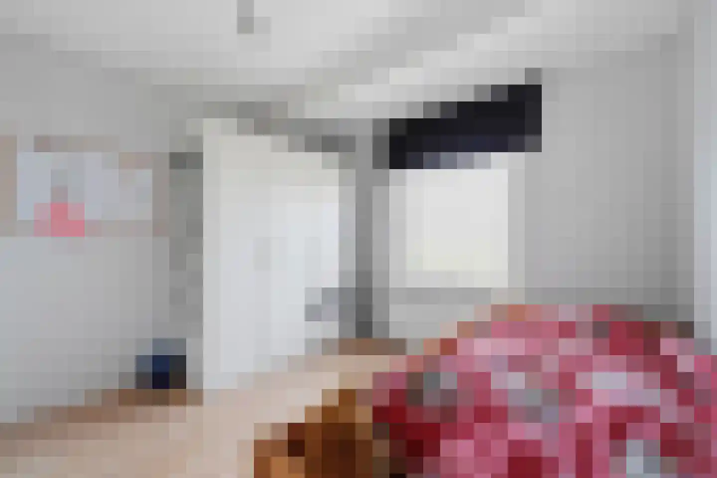 Anjelierenlaan 19 Vlissingen thumbnail 15