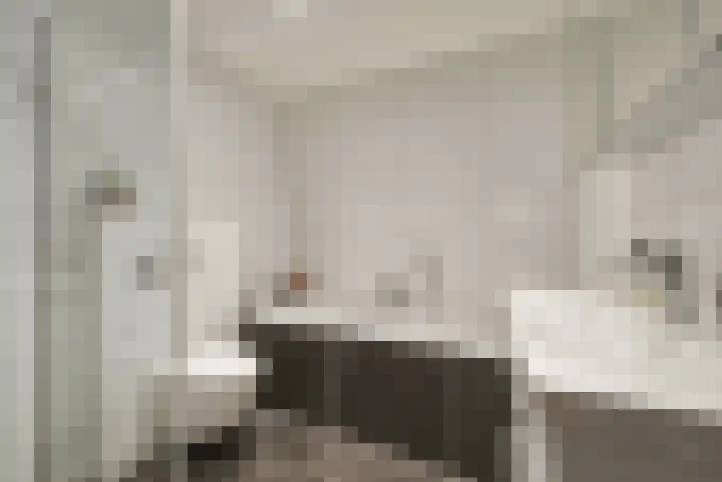 Anjelierenlaan 19 Vlissingen thumbnail 17