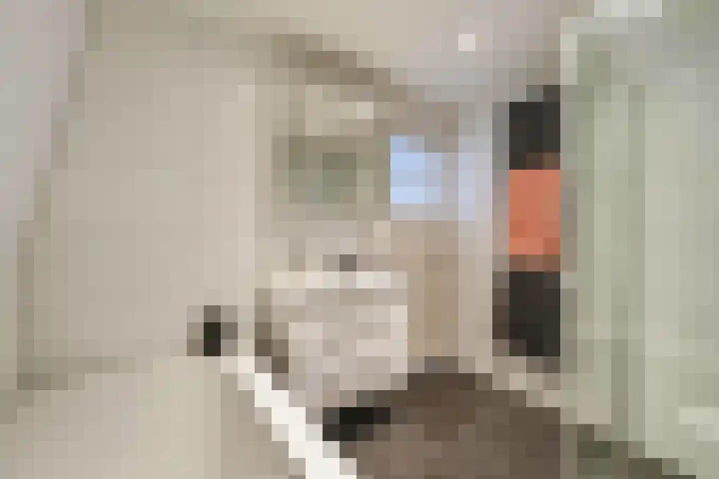 Anjelierenlaan 19 Vlissingen thumbnail 18