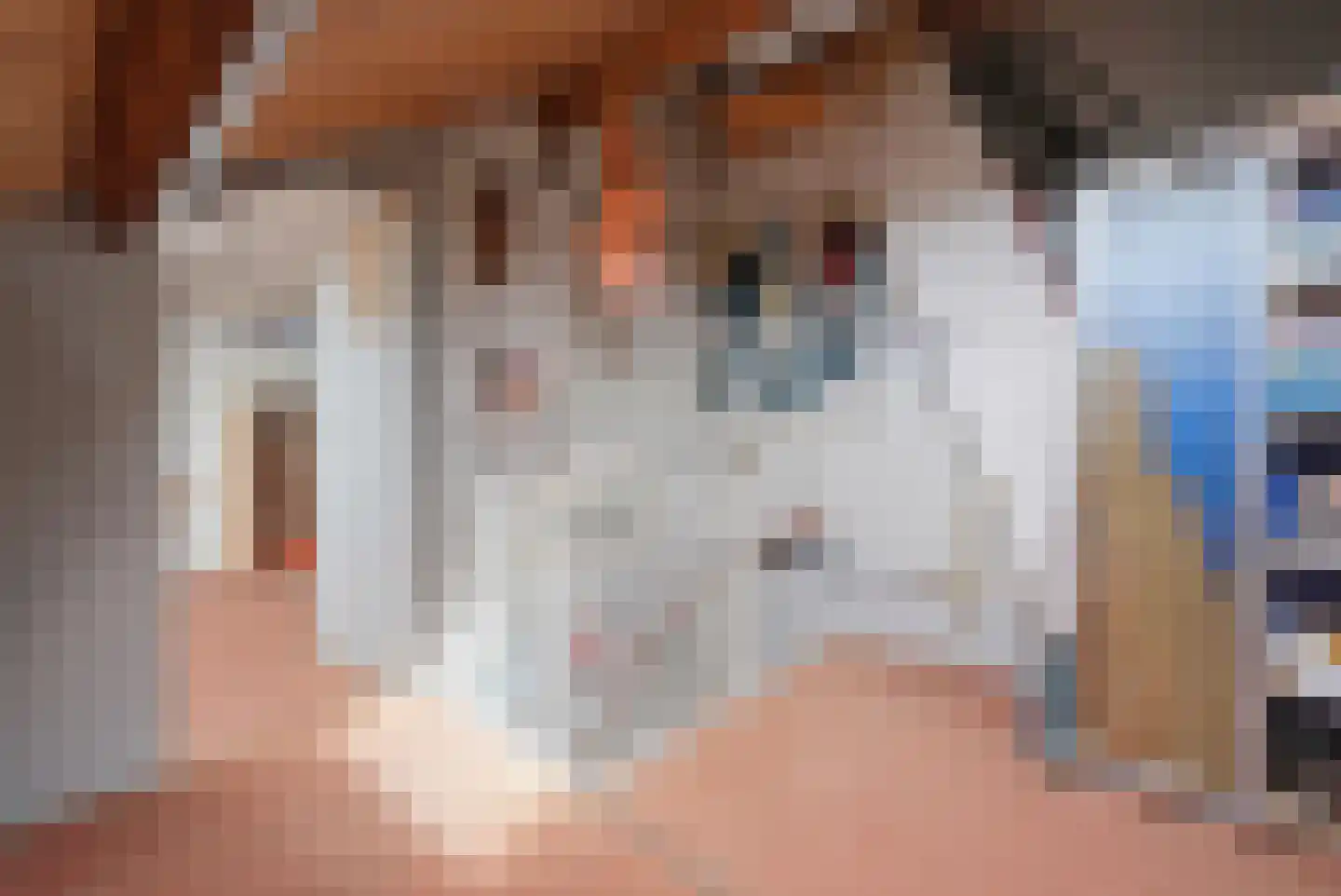 Anjelierenlaan 19 Vlissingen thumbnail 21