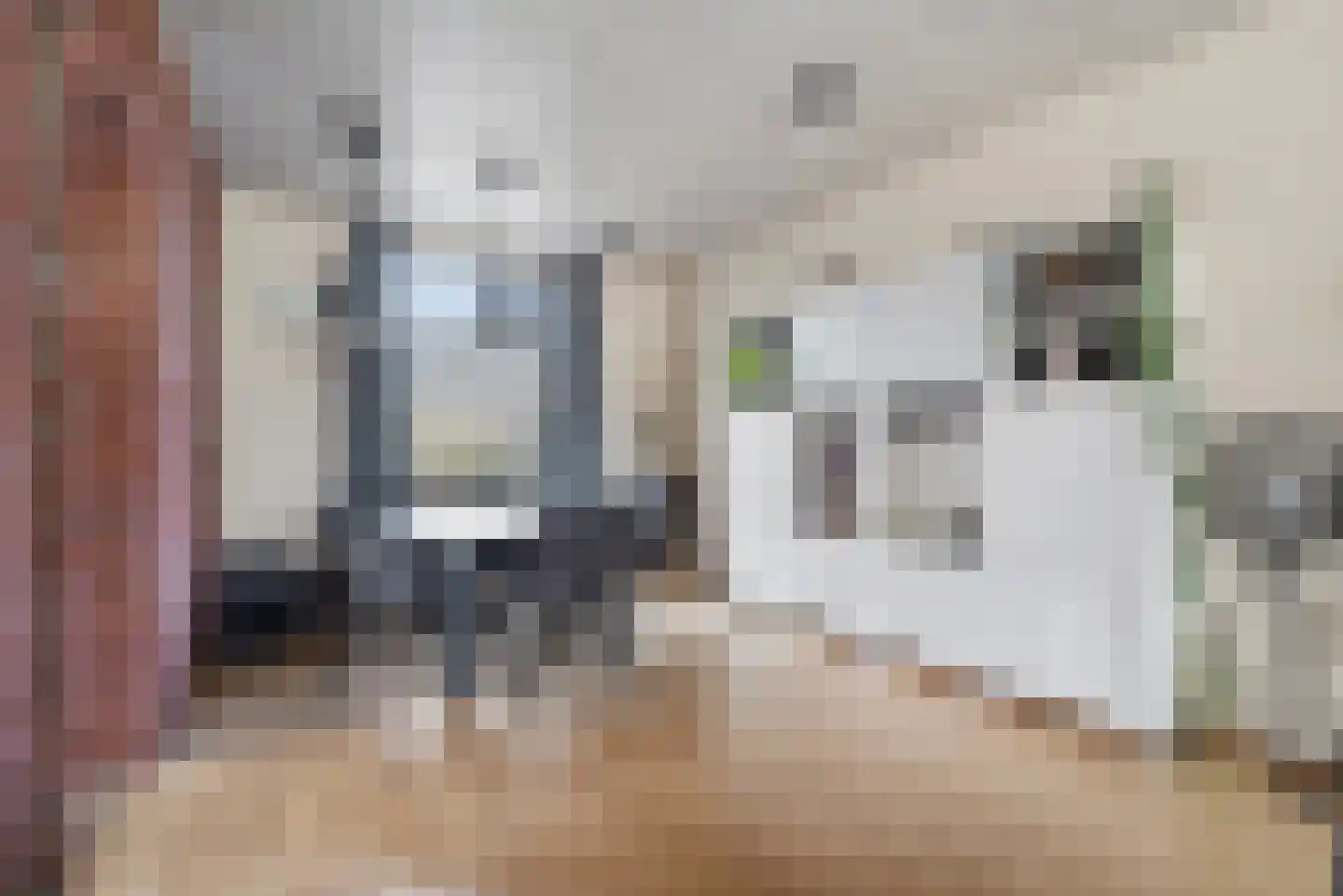 Anjelierenlaan 19 Vlissingen thumbnail 6